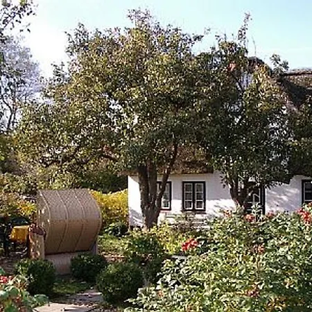 Petrine/s Hues 펜션 *