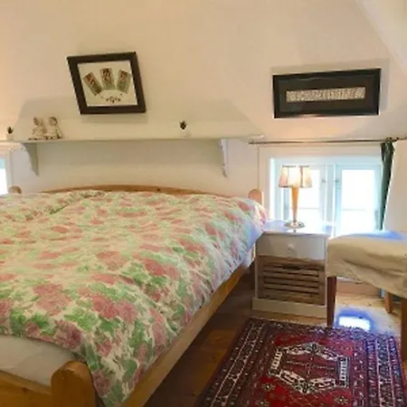 Petrine/s Hues 펜션 *